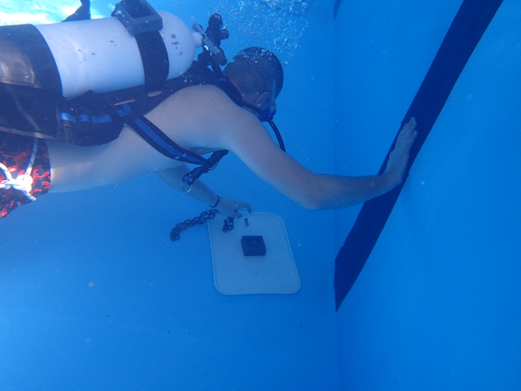 Prvenstvo Srbije u podvodnim veštinama