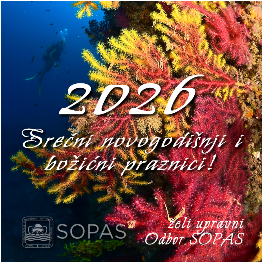 Srećni novogodišnji i božićni praznici