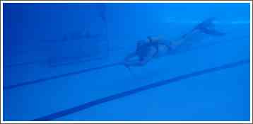 Prvenstvo Srbije u podvodnim veštinama