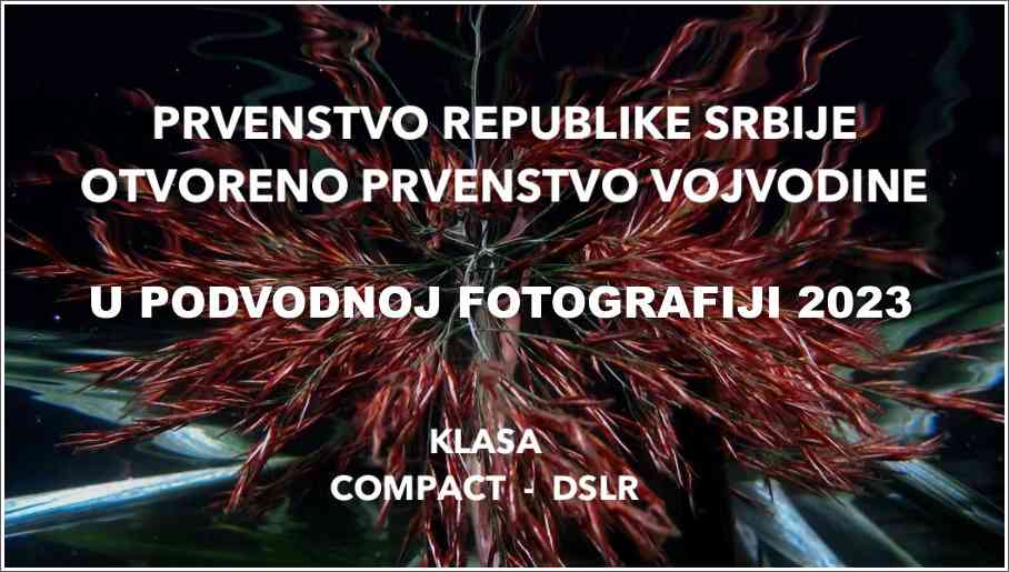 Poziv na takmičenje u podvodnoj fotografiji "Bela Crkva 2023"